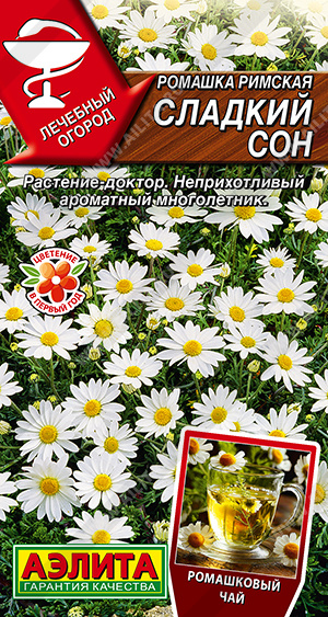 Сладкий сон