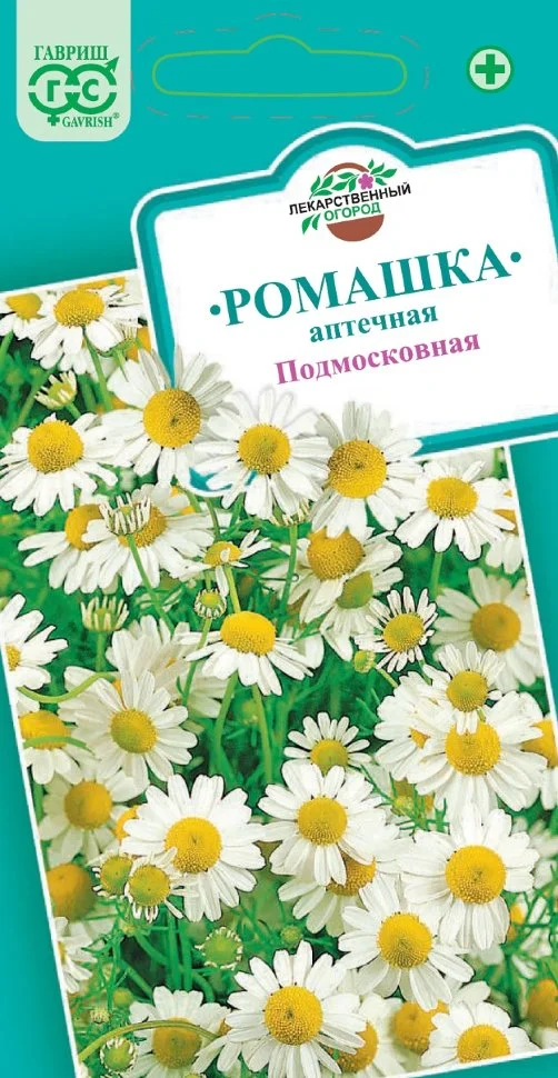 Подмосковная