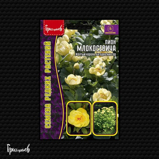 Млокосевича