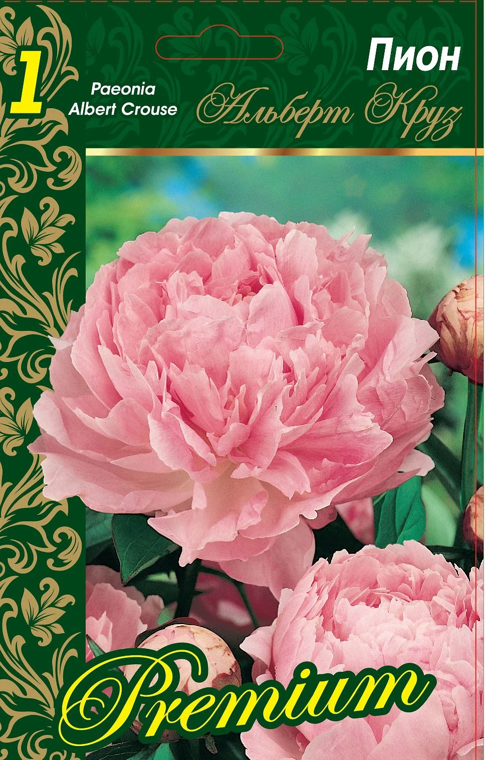 Альберт Круз