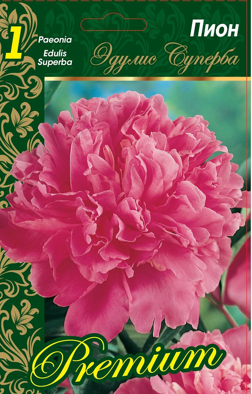 Эдулис Суперба