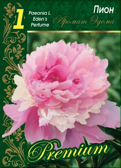 Аромат Эдема