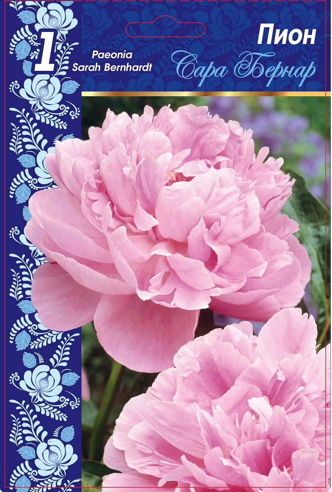 Сара Бернар