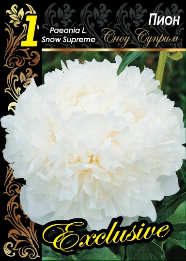 Сноу Суприм
