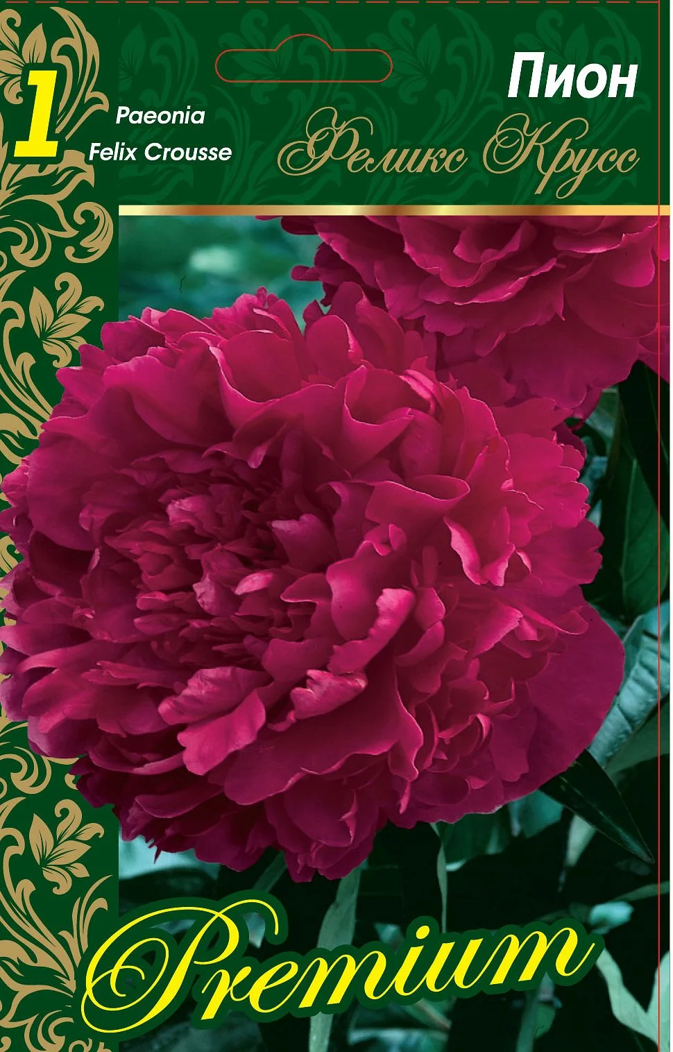 Феликс Крусс