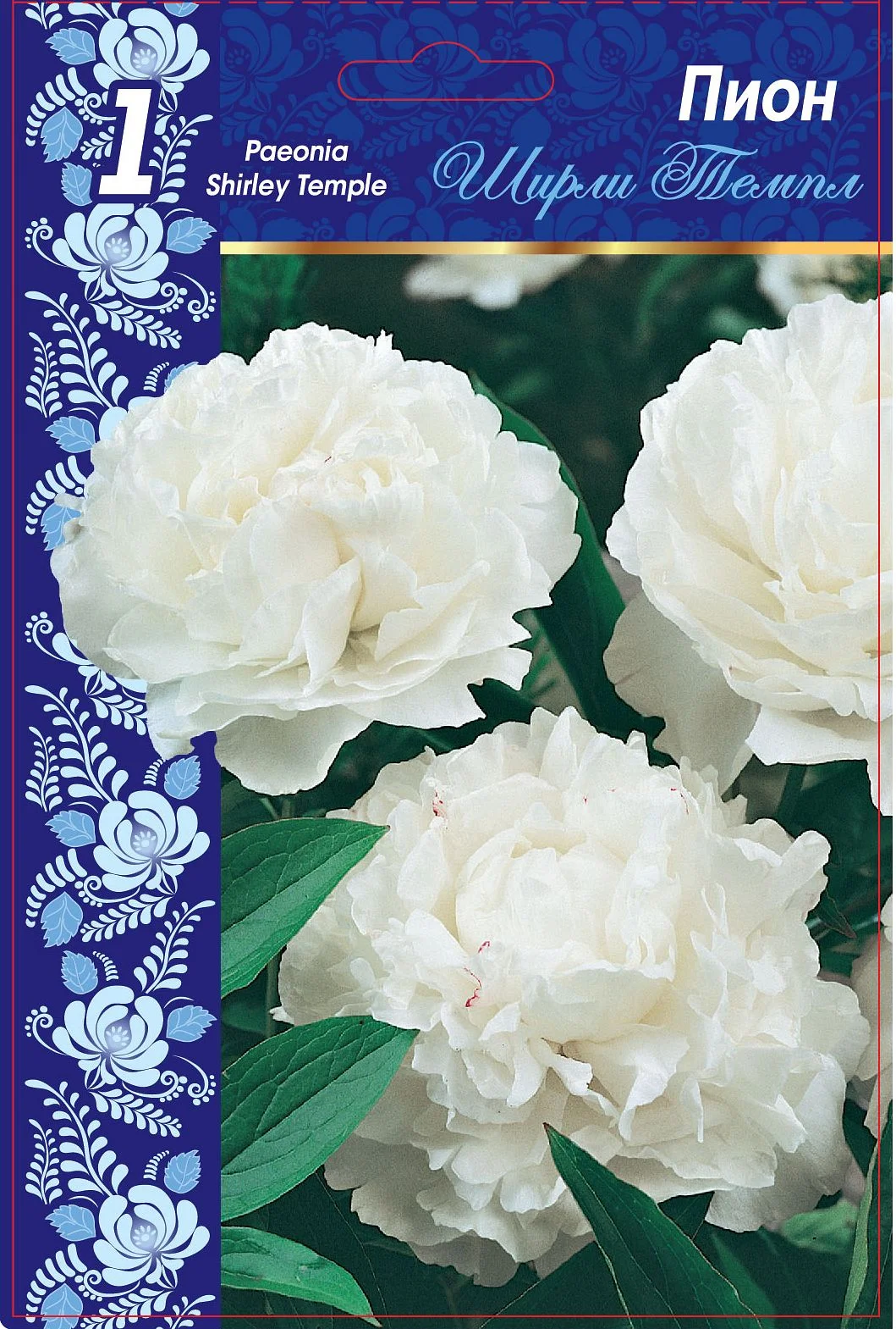 Ширли Темпл