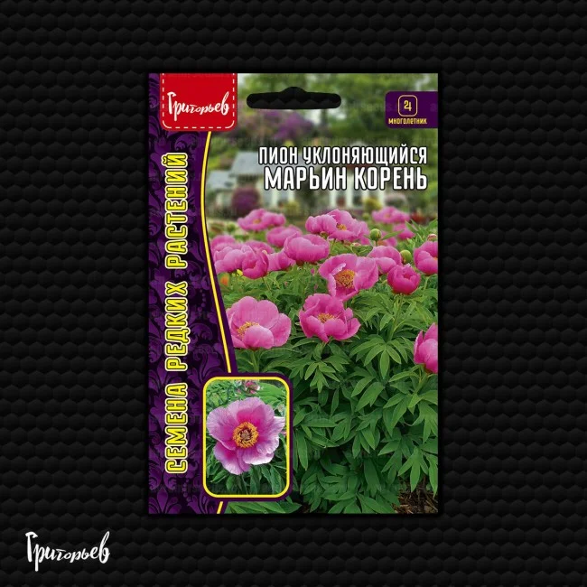 Марьин Корень уклоняющийся