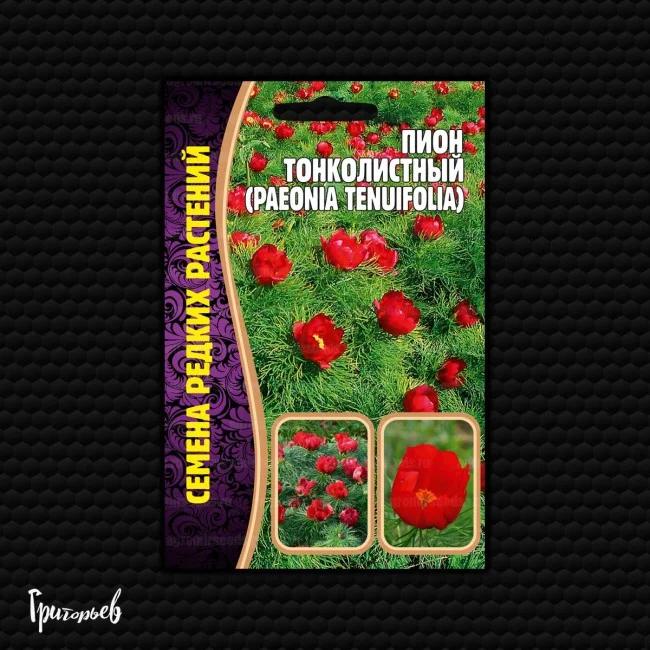 Тонколистный