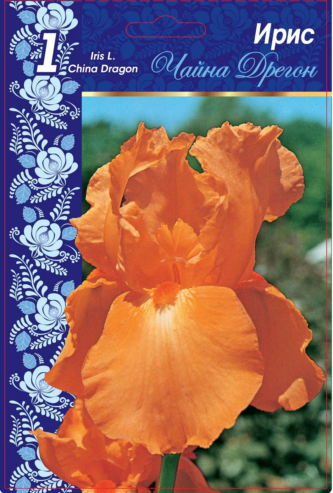 Чайна Дрэгон