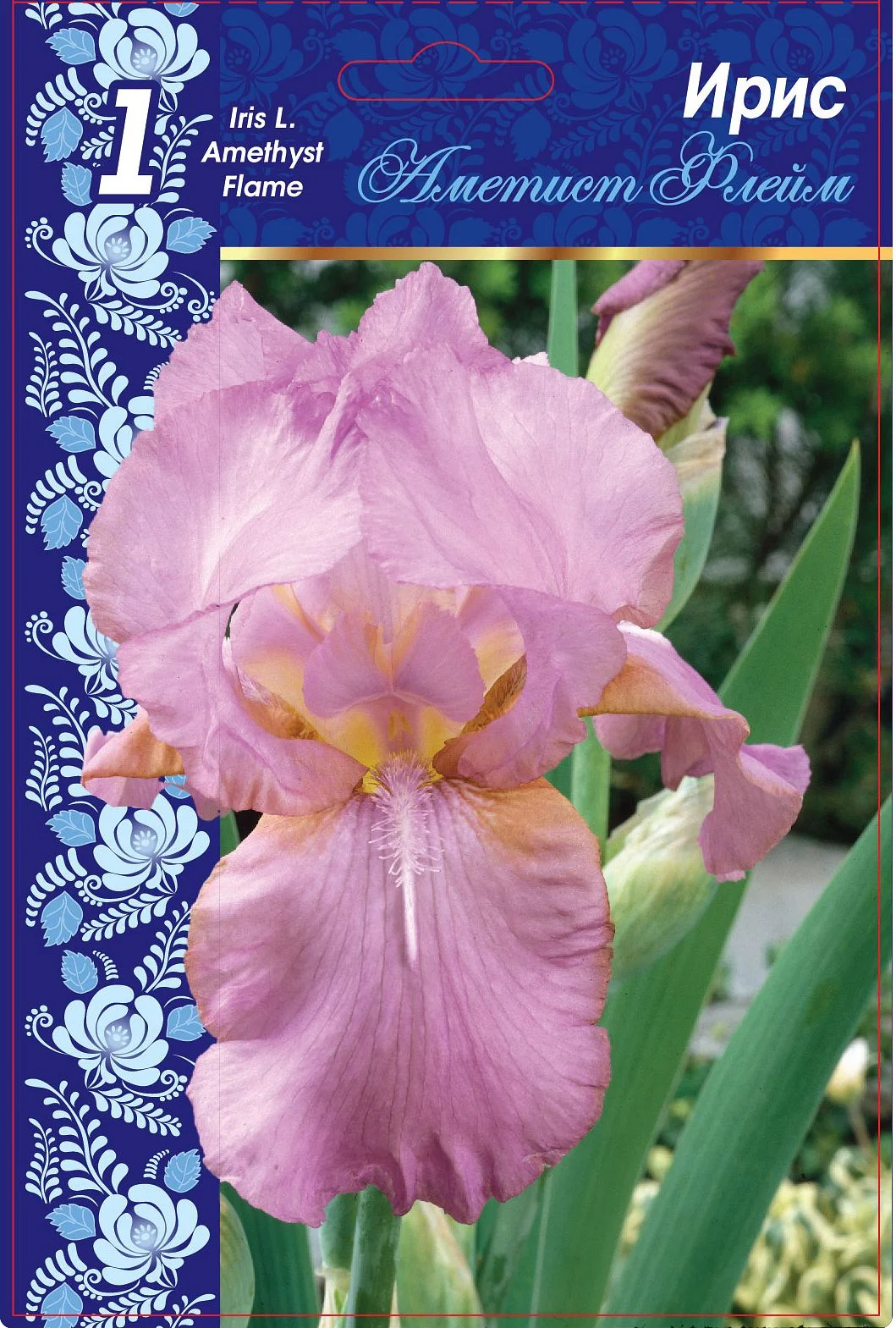 Аметист Флейм