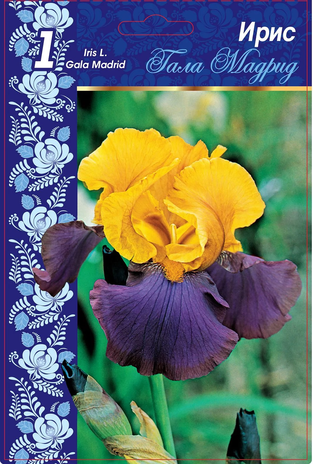 Гала Мадрид