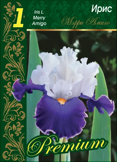 Мэрри Амиго