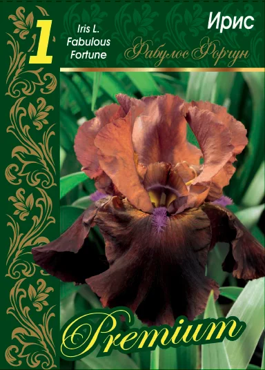 Фабулос Форчун