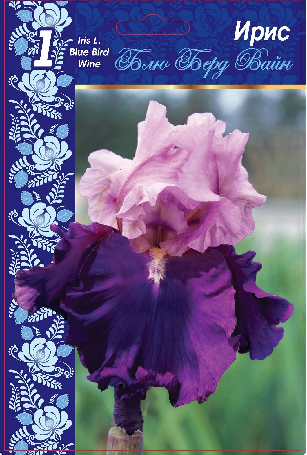 Блюберд Вайн