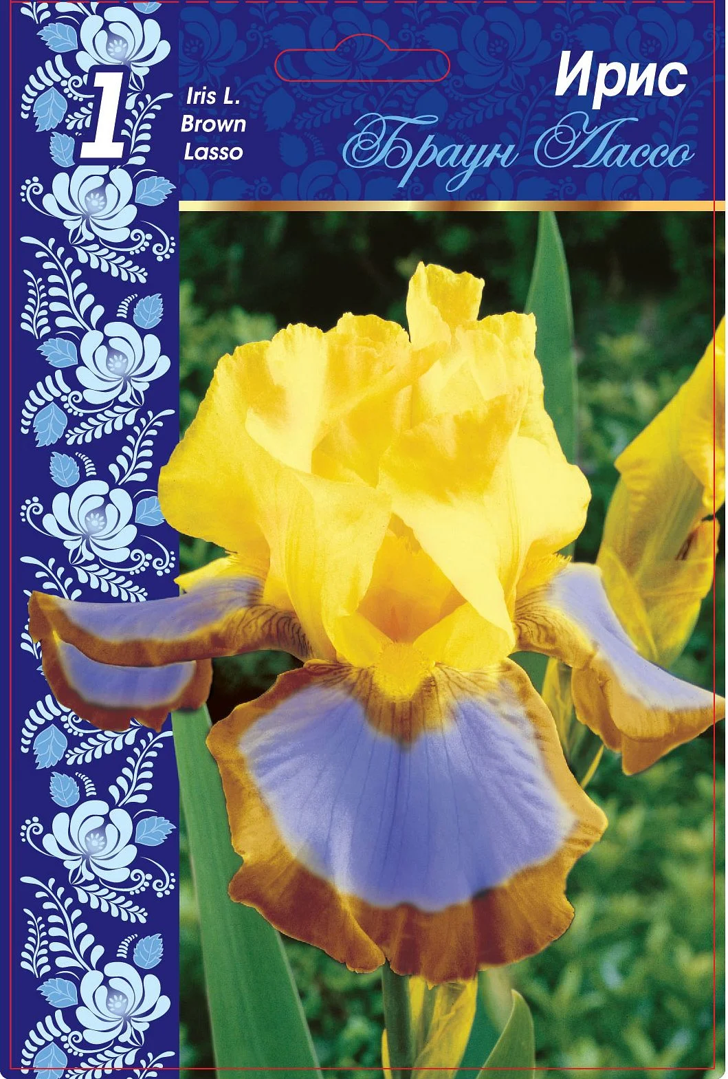 Браун Лассо