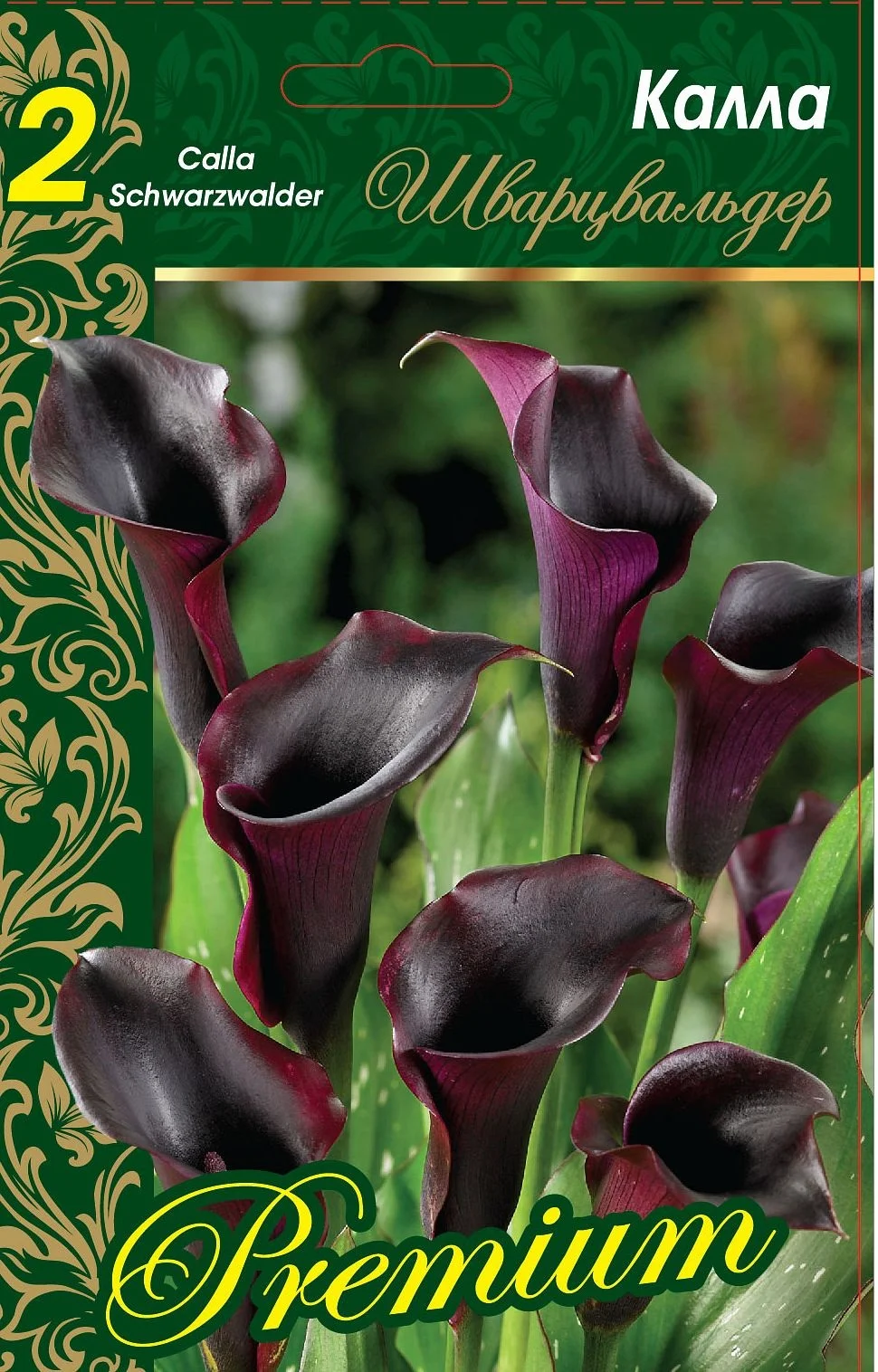 Шварцвальдер