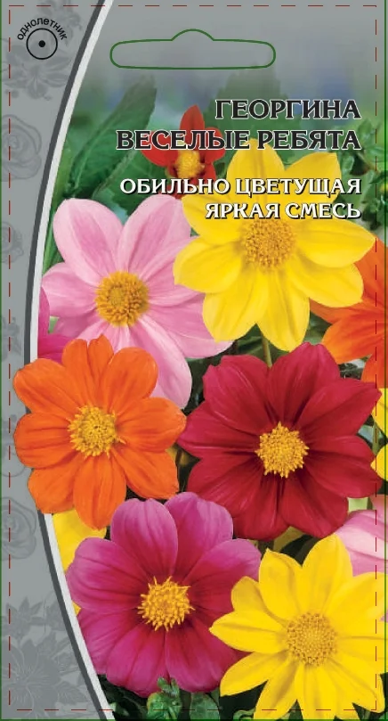 Миниатюра изображения сорта Веселые ребята