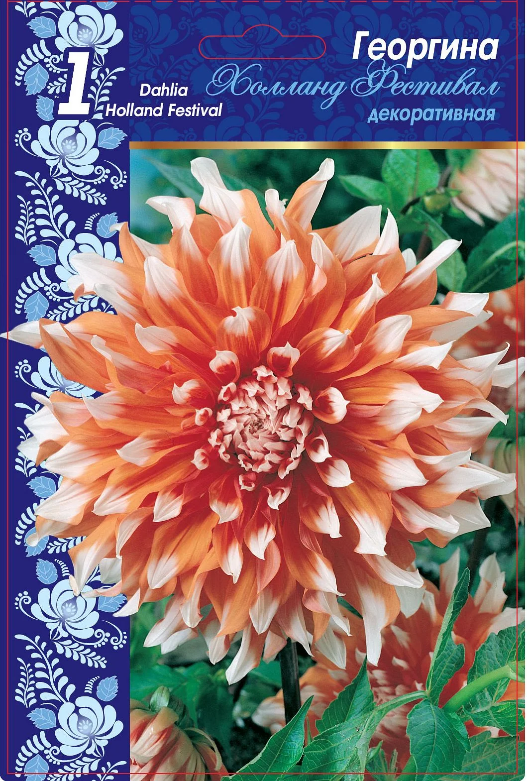 Холланд Фестиваль