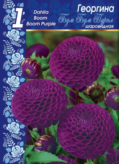 Бум Бум Пурпл