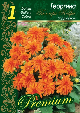 Галлери Кобра