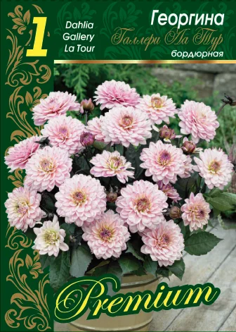 Галлери Ла Тур