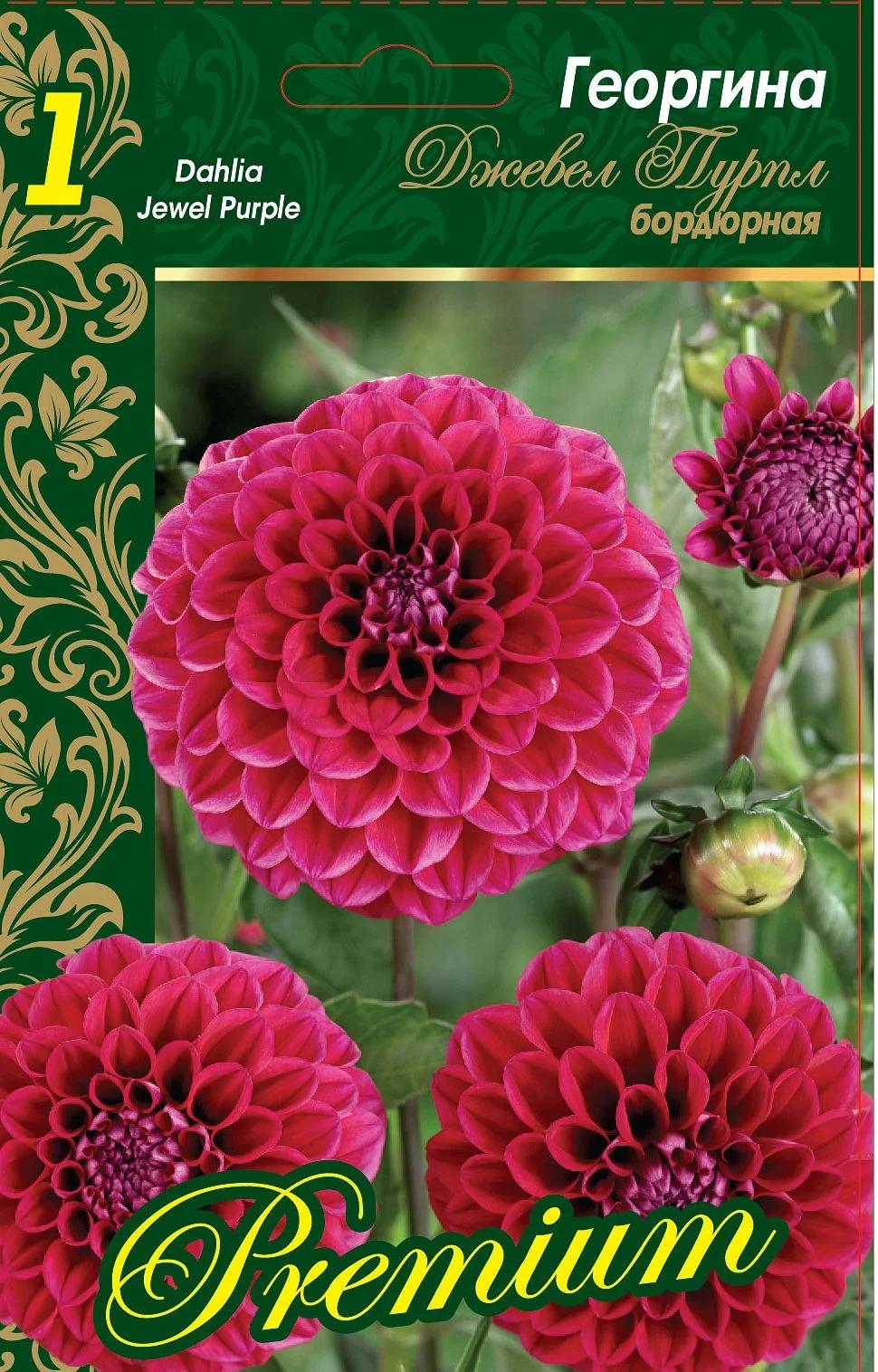 Джевел Пурпул