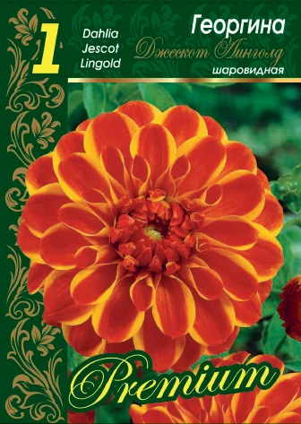 Джескот Линголд