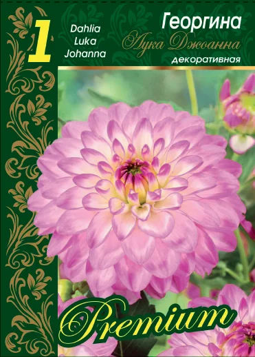 Лука Джоанна