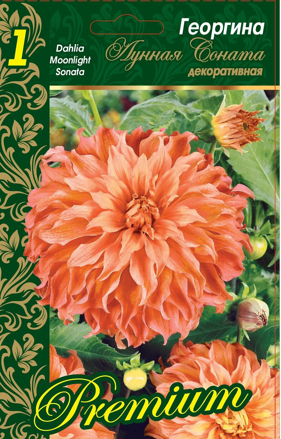 Лунная Соната XXL