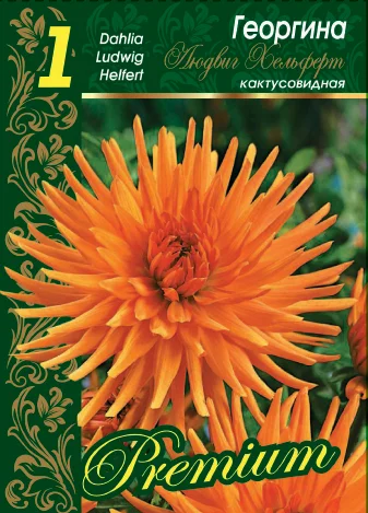 Людвиг Хельферт