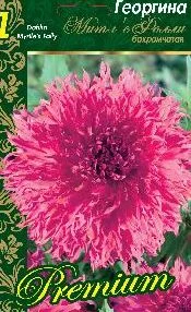 Митлс Фолли