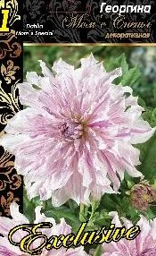 Момс c Спешл