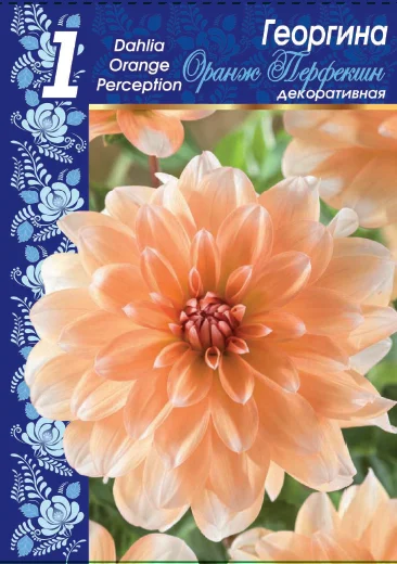 Оранж Перфекшн