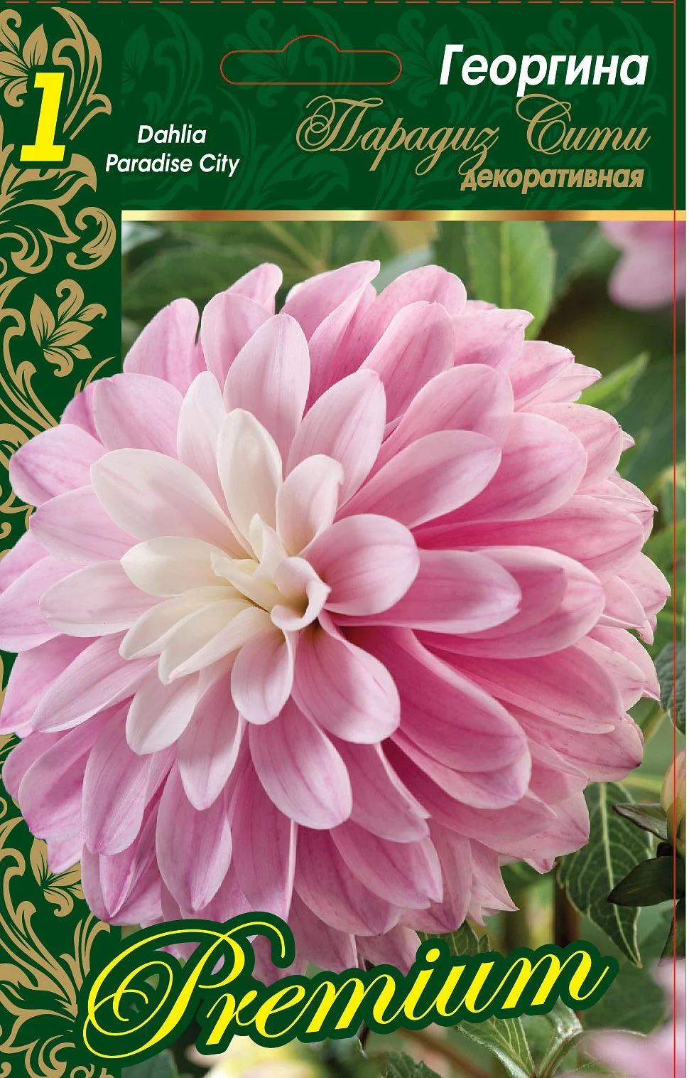 Парадиз Сити