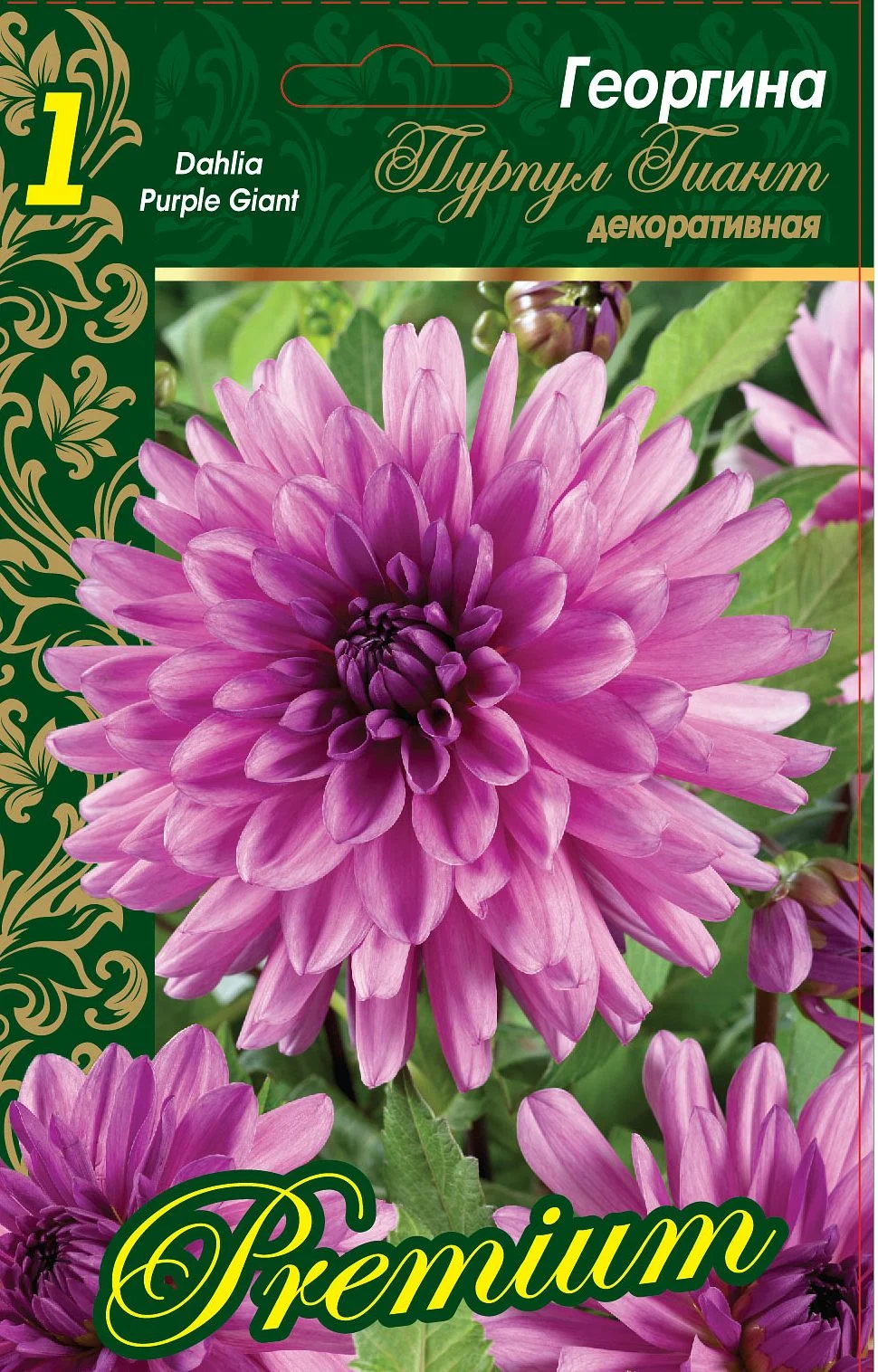 Пурпул Гиант