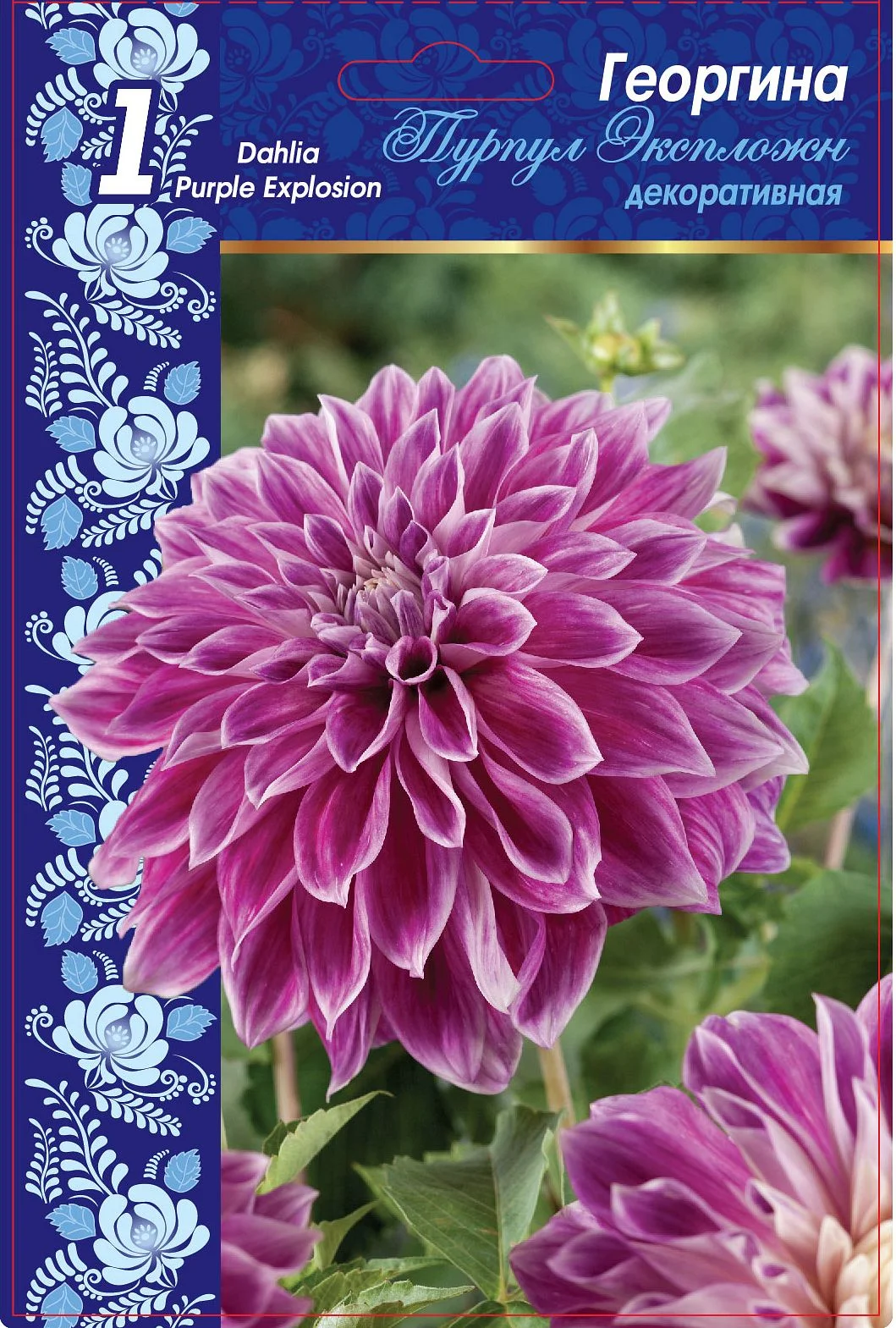 Пурпул Экспложн