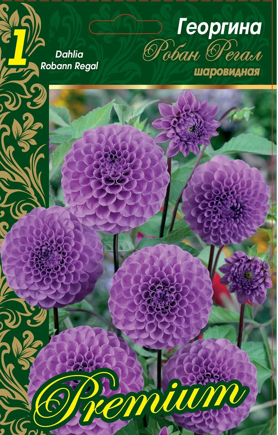 Робан Регал