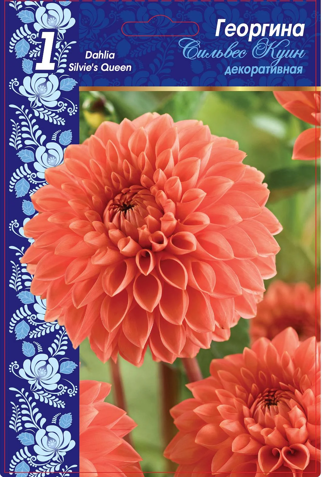 Сильвес Куин