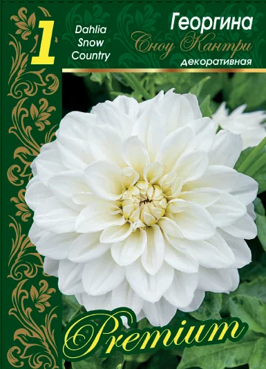 Сноу Кантри