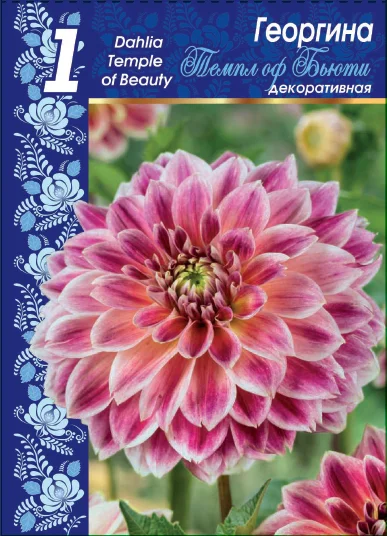 Темпл оф Бьюти