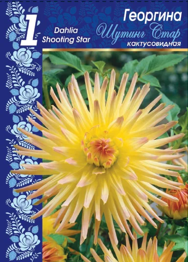 Шутинг Стар