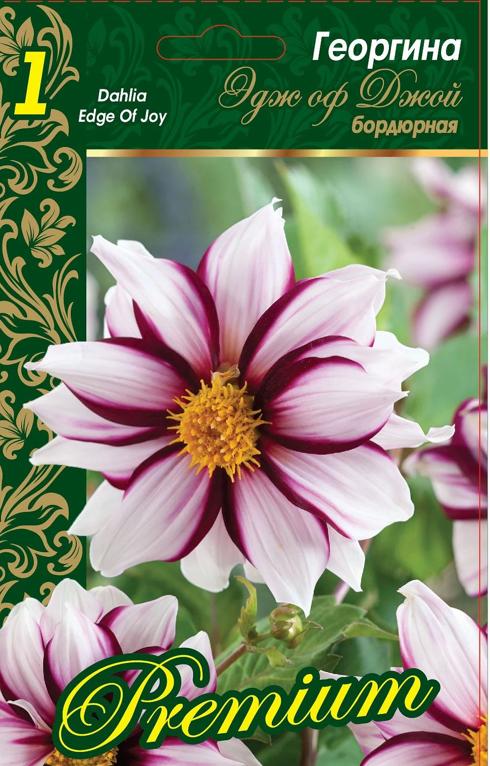 Эдж оф Джой