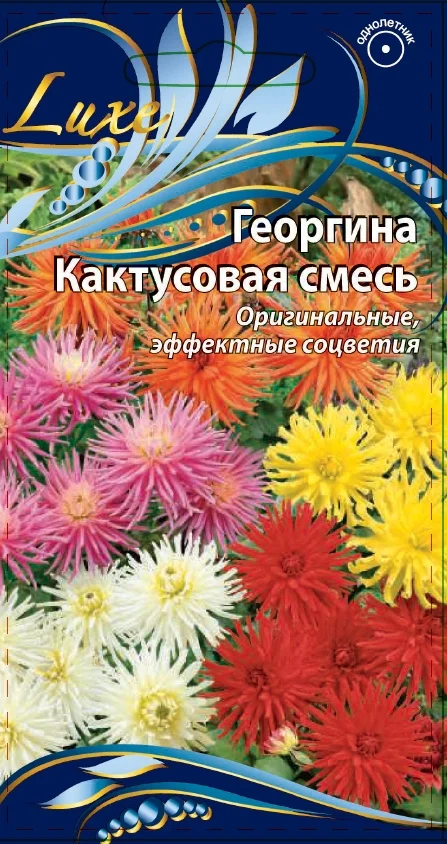 Кактусовая
