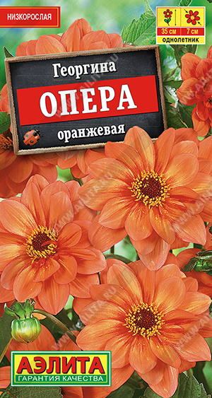 Опера оранжевая