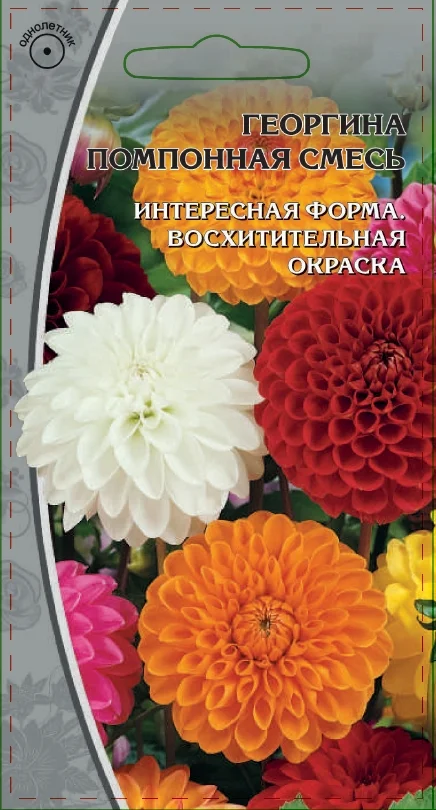 Миниатюра изображения сорта помпонная