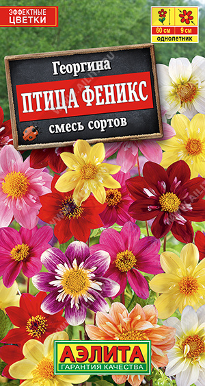 Птица Феникс