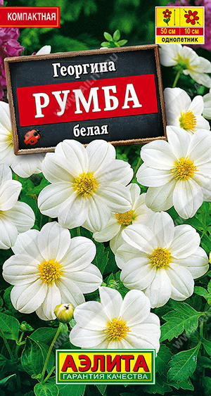 Румба белая