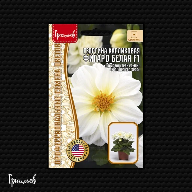 Миниатюра изображения сорта Фигаро махровая белая