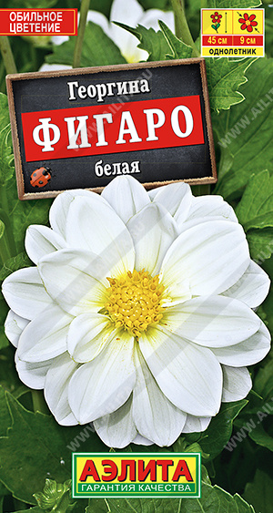 Фигаро махровая белая