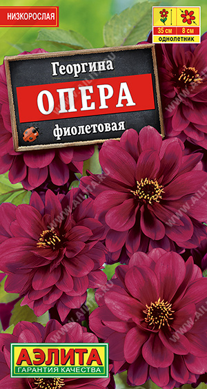 Опера Фиолетовая